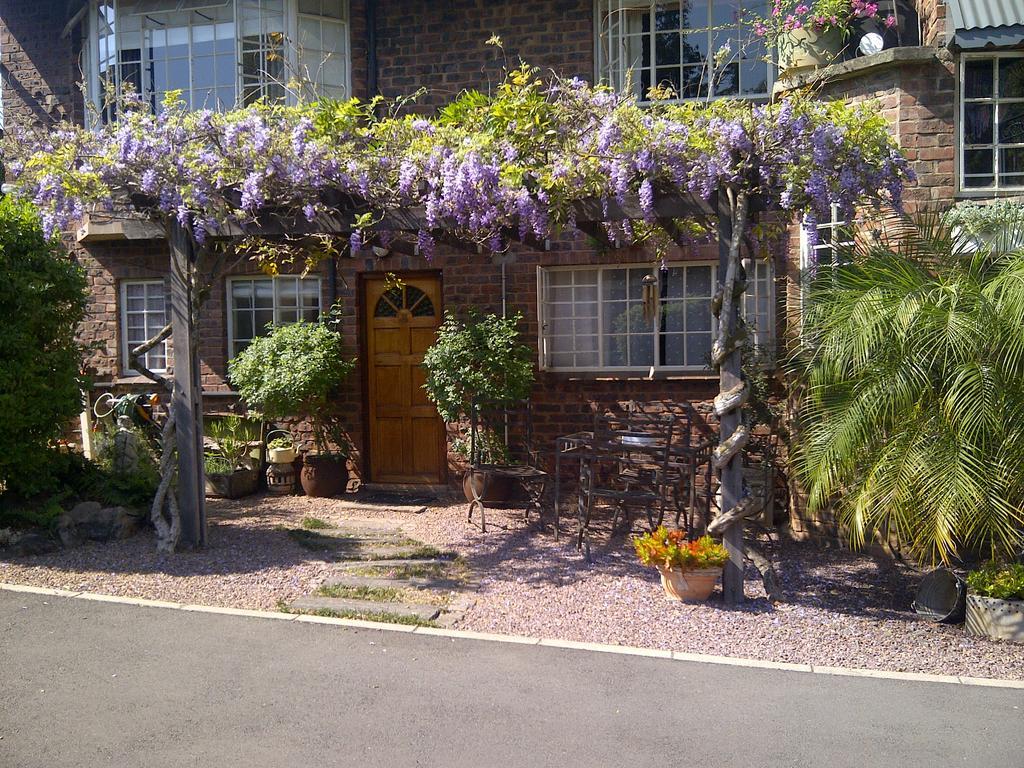 Babbling Brook Bed & Breakfast ปีเตอร์มาริตซ์เบิร์ก ภายนอก รูปภาพ